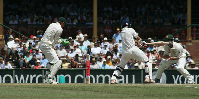 יתנו פייט לקריקט? (צילום: wikipedia commons)