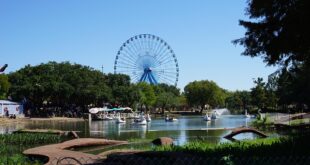 Fair Park בדאלאס. ייצבע בצבעי המונדיאל (pixabay)