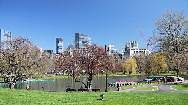 Boston Common. הריאה הירוקה של העיר (pixabay)